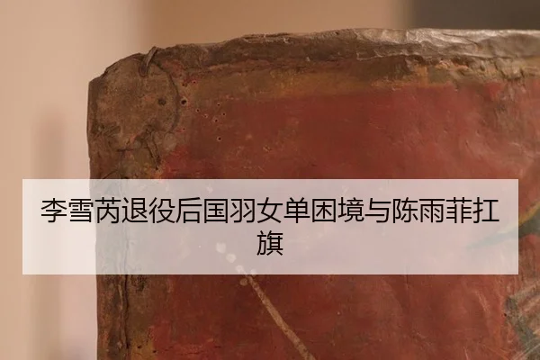 li-xue-rui-tui-yi-hou-guo-yu-nv-dan-kun-jing-yu-chen-yu-fei-kang-qi-3-299.jpg