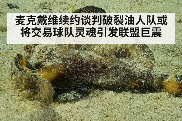 麦克戴维续约谈判破裂油人队或将交易球队灵魂引发联盟巨震